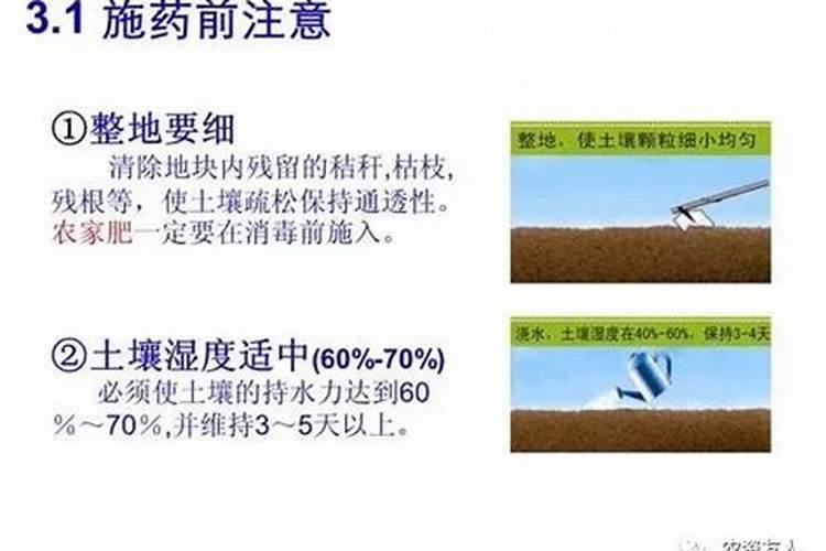 棉隆的主要成分