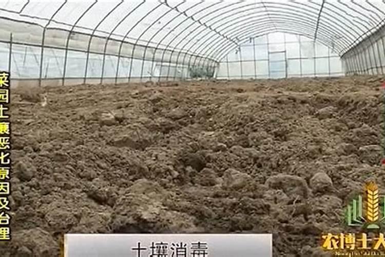 什么是杀菌剂？