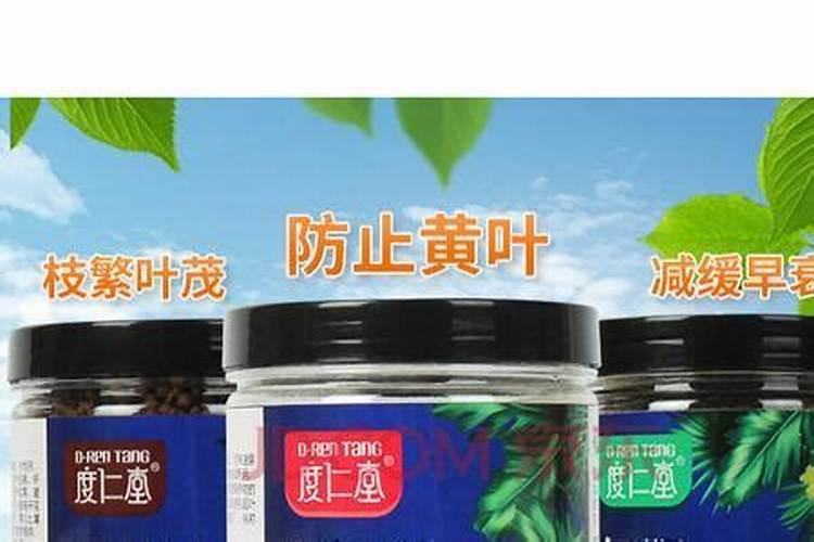 鱼蛋白为什么会发臭？
