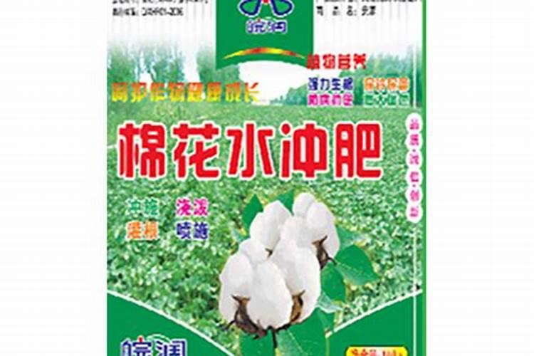 大蒜的追肥很重要,大蒜追肥要注意什么？