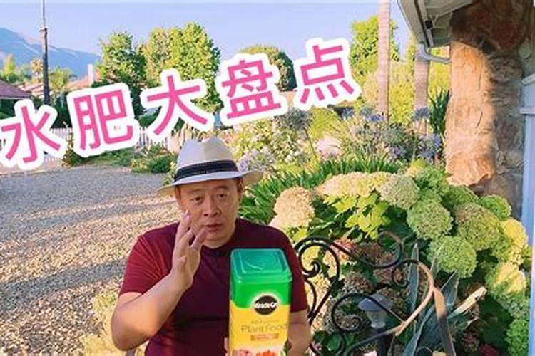 美乐棵,花多多,奥绿,哪家肥料的效果好