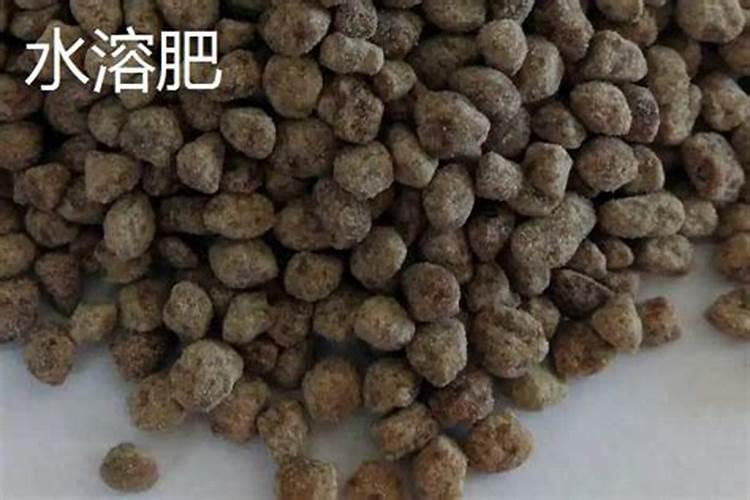 尿素能当水溶肥吗