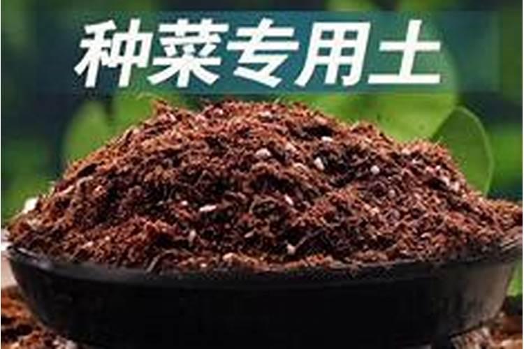 为什么钙镁磷肥育苗会产生肥害