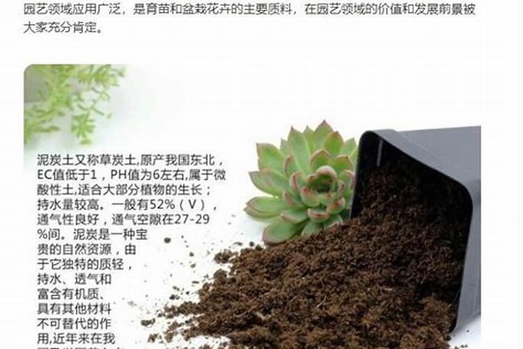 春天花卉可用磷肥吗？
