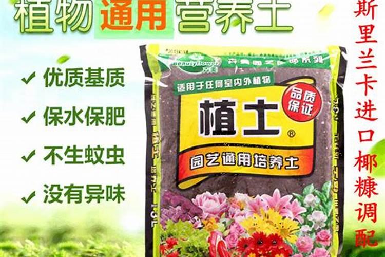 育苗时可以放复合肥吗