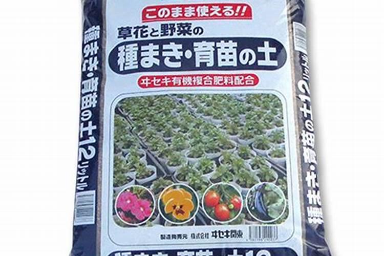 我家的黄瓜藤上的小黄瓜变黄了,还没长大呢