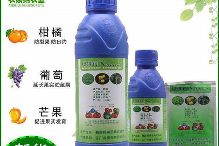 种蔬菜怎样施底肥