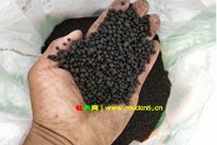 牡丹施肥用什么肥料