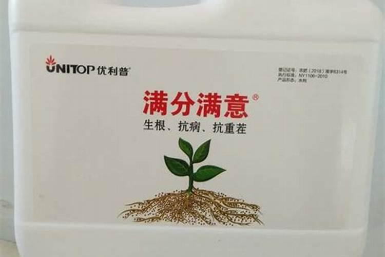 矿源黄腐酸钾对茶叶有没有反作用