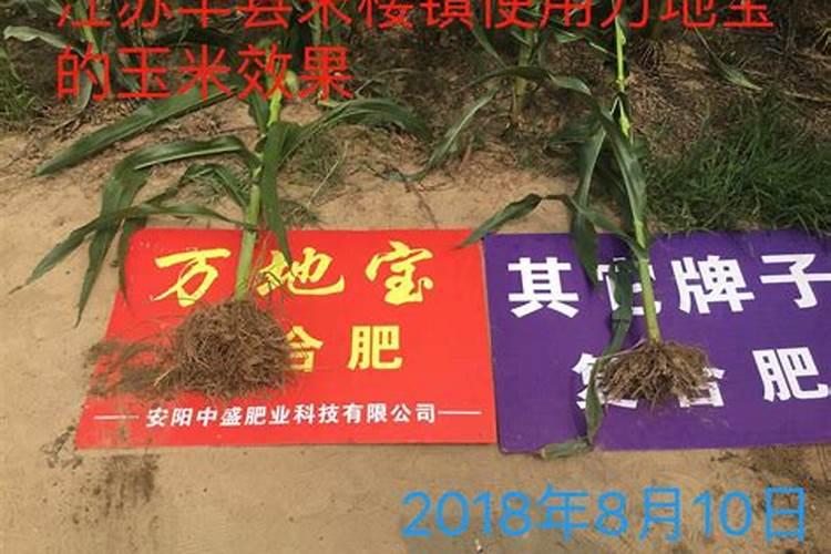 钙肥能和复合肥同时冲施吗？