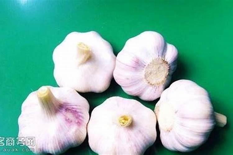 大蒜什么时候施肥最好