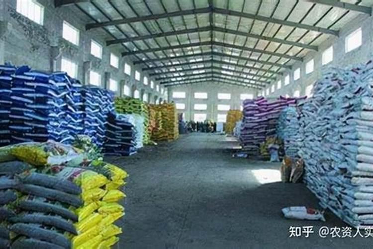 茶树不开花是什么原因