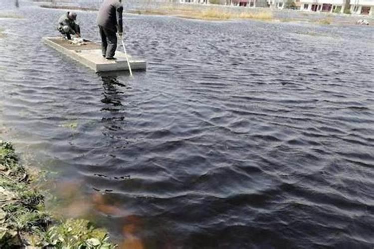 腐植酸钠的简介