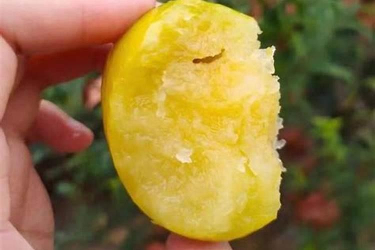水稻一生需要多少个氮 水稻氮肥过多如何补救