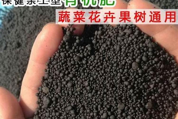 大棚土壤表面长青苔的原因