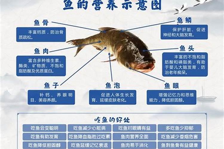 鱼蛋白对植物的作用 鱼类具有很高的营养价值
