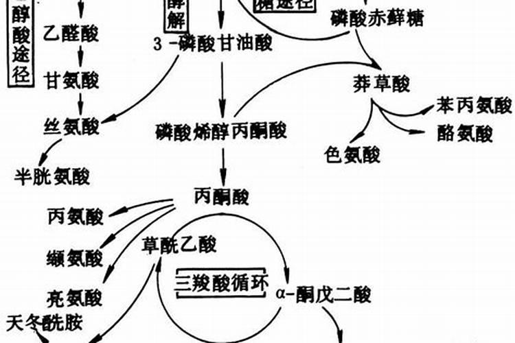氨基酸水溶肥的主要成分有哪些 常用的氨基酸水溶肥配方