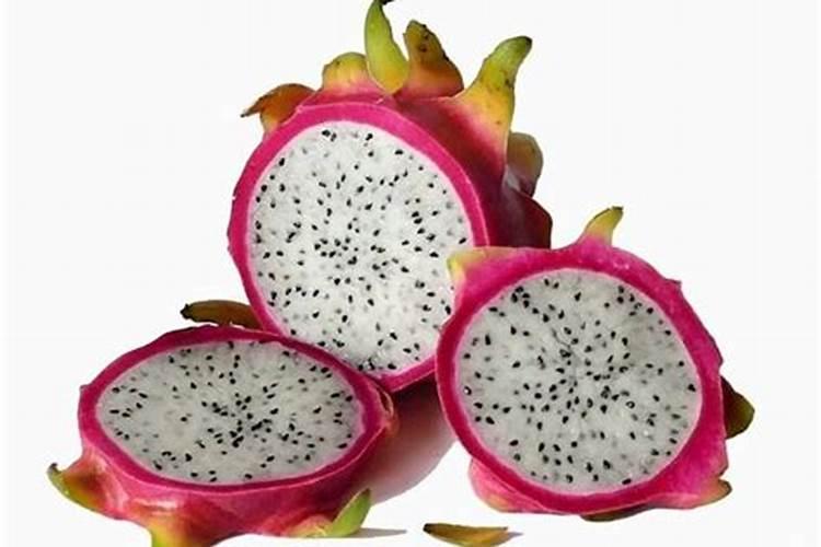 火龙果果实膨大需要什么肥料？叶枯叶霉病如何处理？专用叶面肥有哪些品...