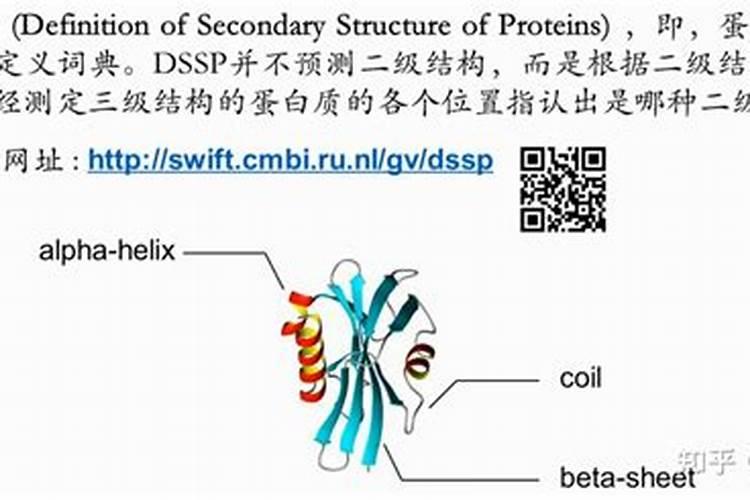 蛋白质的分子结构包括