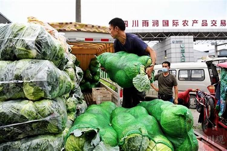 瓜果蔬菜施肥时间和方法是什么 瓜果蔬菜施肥时间和方法