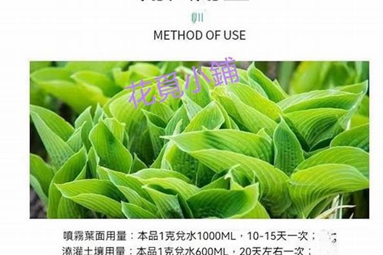...蔬菜作物病虫害防治现状,谈谈如何减少化学农药的施用