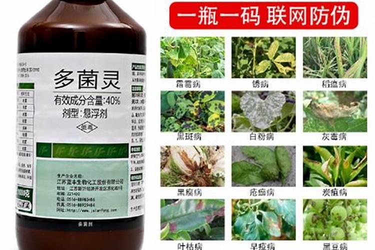 多菌灵可以保鲜红薯吗