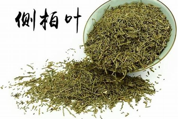 侧柏腐叶能养花吗？