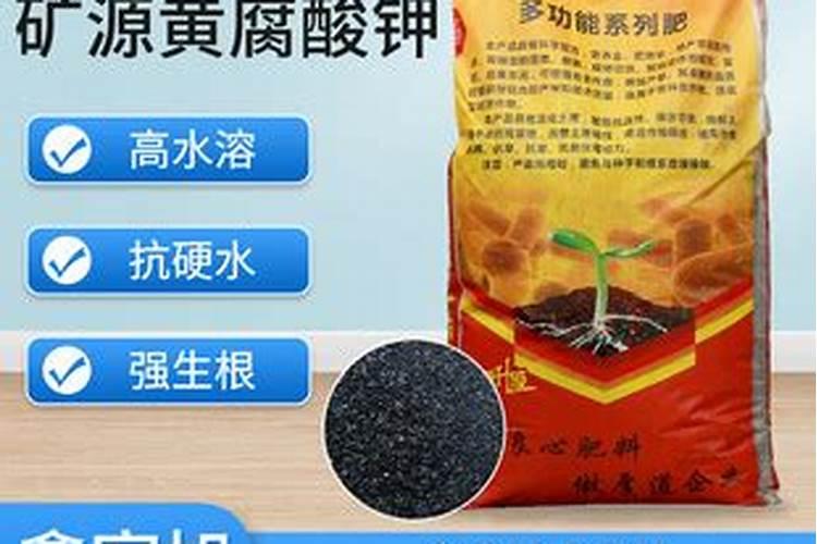 勒夫生产的黑聚力水溶肥怎么样？黑聚力中的矿钾到底是什么？