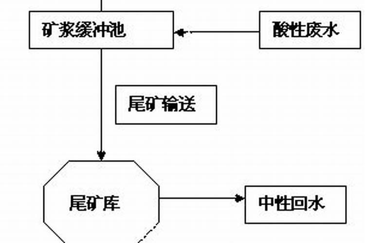 龟背竹的水培方法