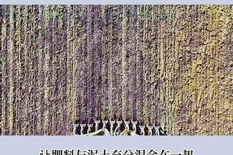 印度人忍饥挨饿,为何还要向我国大量出口大米？
