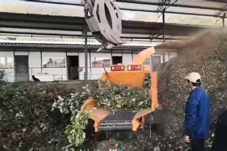 甜宝草莓苗的介绍是什么？