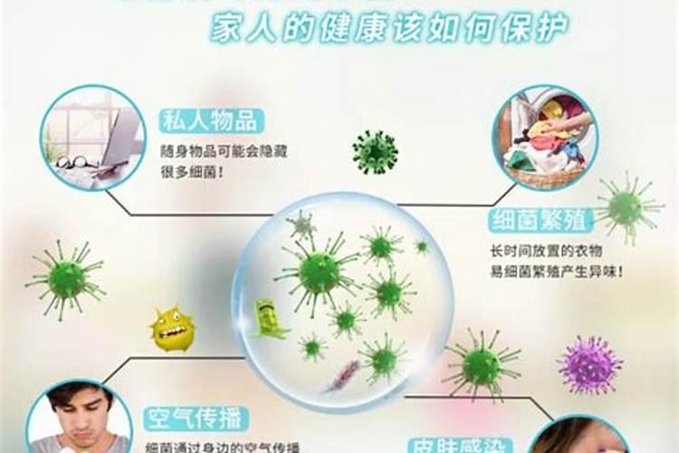 用青菜放什么肥料合适