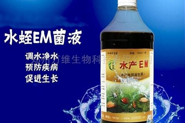 什么样的冲施肥效果较好？该如何施用