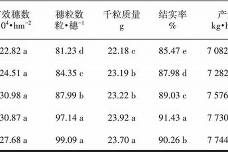 花生叶面肥用什么高产 什么时候施肥好
