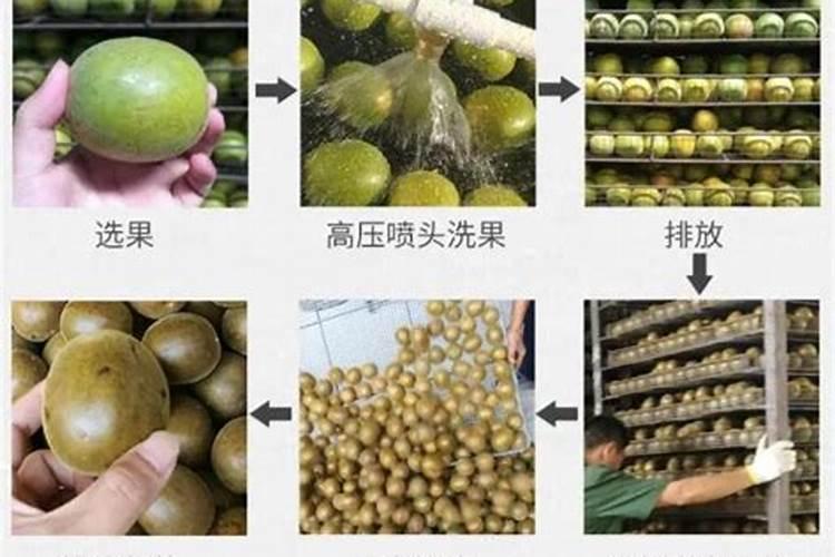 长沙大豆玉米批发市场地址