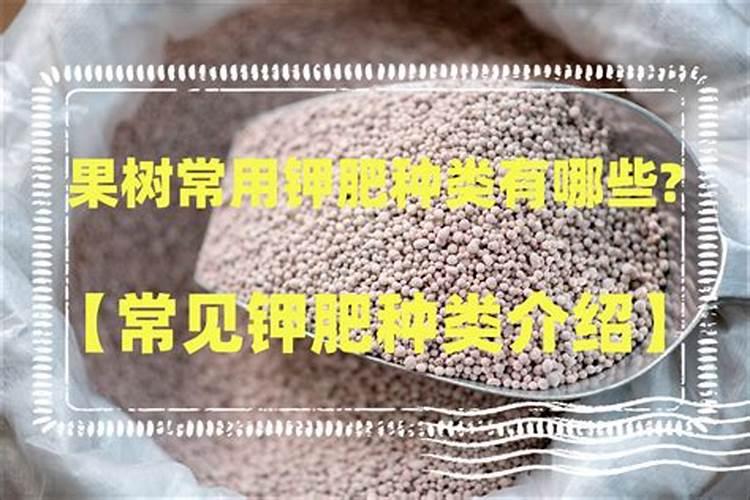 氮肥磷肥钾肥可以同时兑水浇花吗