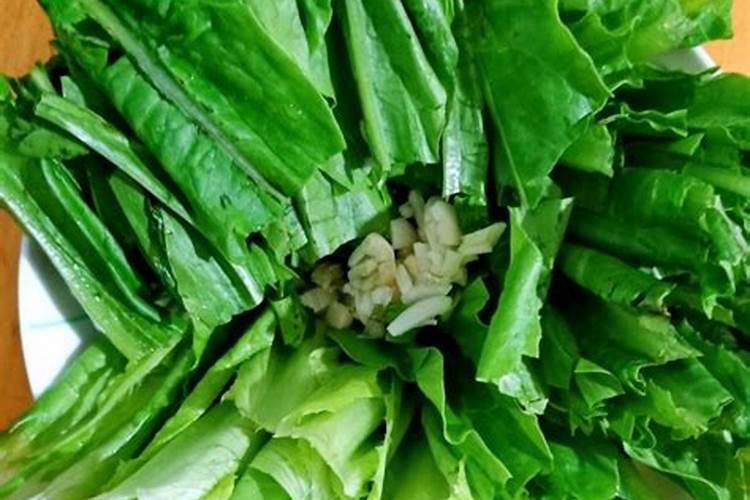 种香菜用什么肥料最好