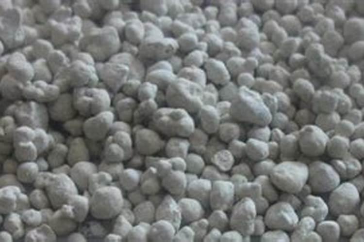 怎样给棉花树浇水 棉花滴灌正确浇水方法