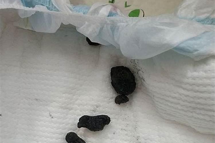 喷施叶面肥有哪些注意事项