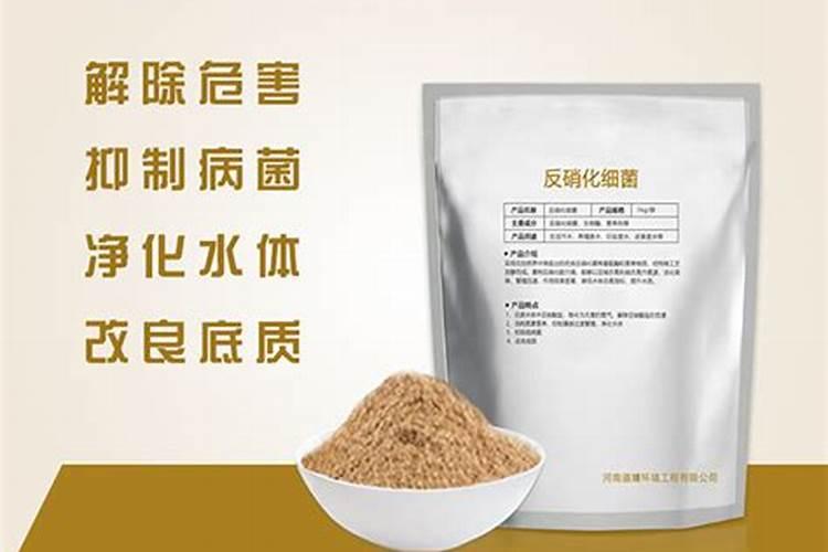 有哪三个事物能有效对付氨氮超标？