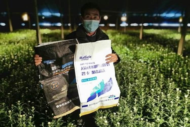 白菜发苦是什么原因？
