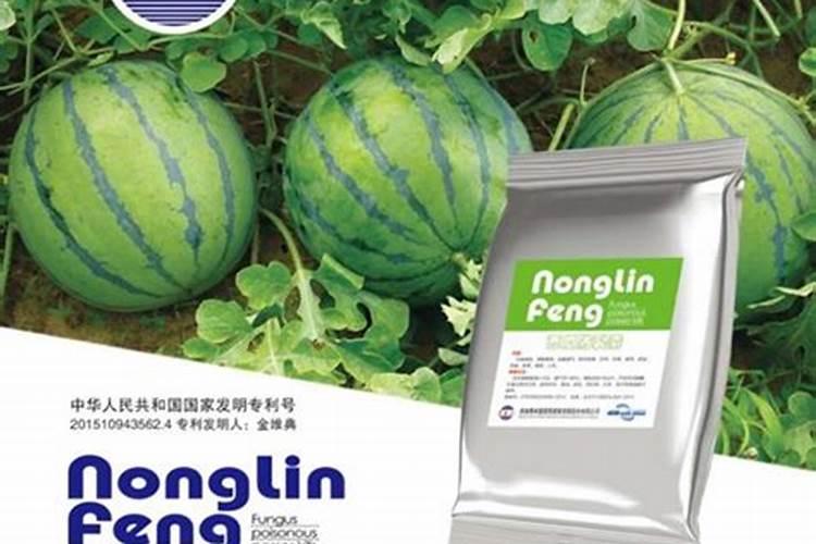 含镁的肥料有哪些