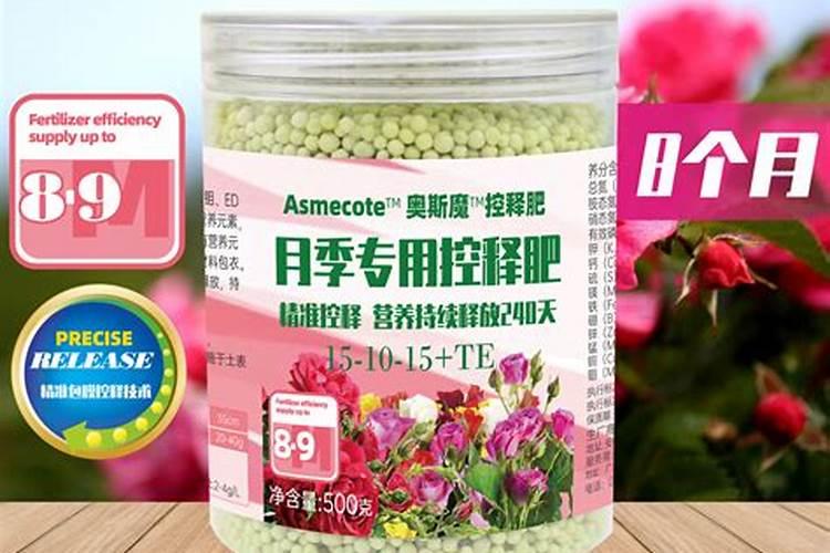 黄瓜开花时打什么药？