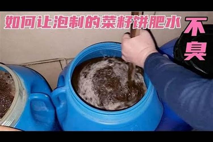 菜子饼发酵多久才可以作为肥料施肥