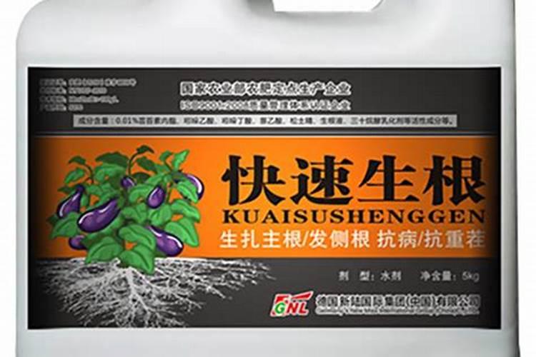 慧生根肥咋样