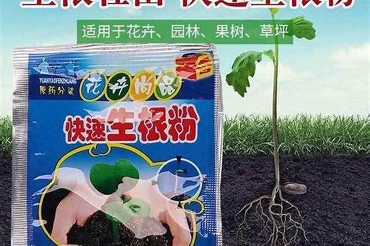 生根粉能不能作为肥料浇花？