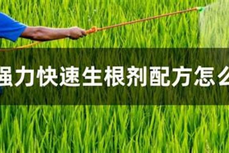 生根最快的肥料