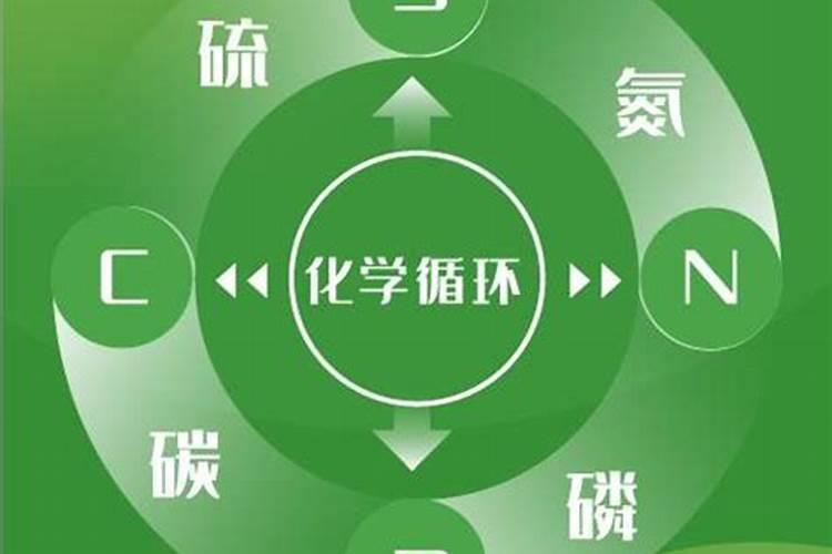 湿牛粪怎么发酵成有机肥湿牛粪怎么发酵有机肥？