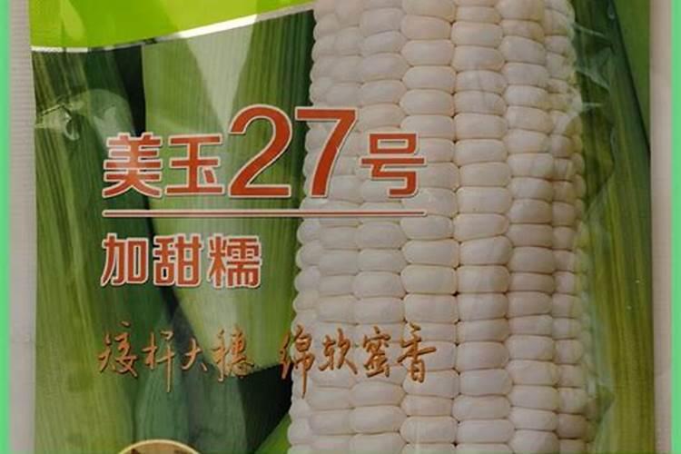 玉米专用复合肥排名
