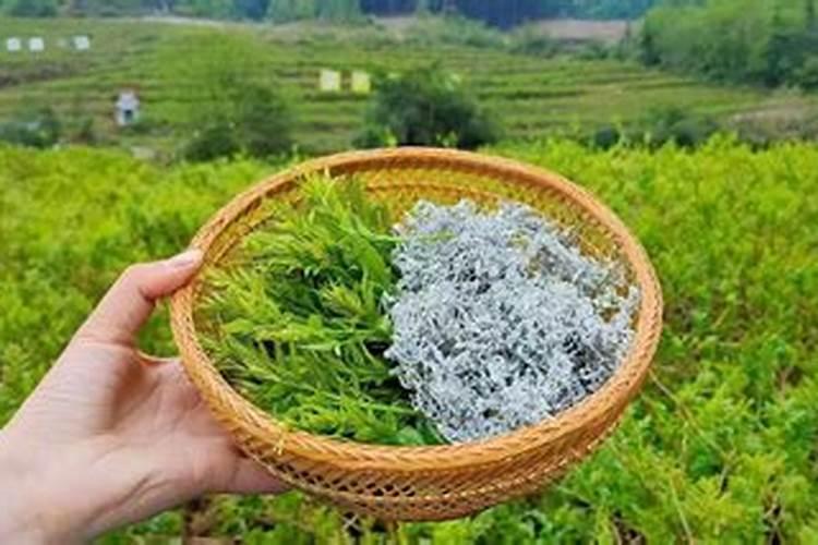 叶面肥是个好东西,怎样使用效果最好？